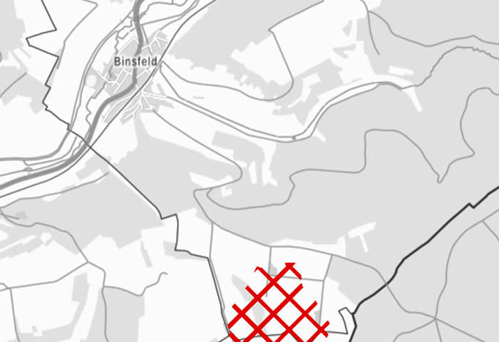 Karten-Ausschnitt Binsfeld im BayernAtlas